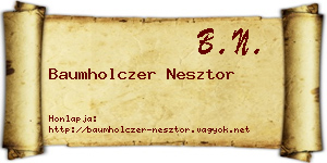 Baumholczer Nesztor névjegykártya
